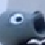 :iconwkari4: