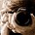 :iconwkidbrand: