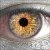 :iconwkr23: