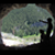 :iconwldff06: