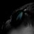 :iconwldfreaks: