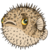 :iconwocky661: