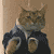 :iconwodemy: