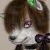 :iconwol4izalya: