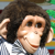:iconwoldbur:
