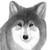 :iconwolf-ayron: