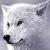 :iconwolf-in-silver: