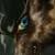 :iconwolf-kai: