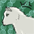 :iconwolf-lullaby: