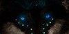group avatar