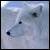 :iconwolf-of-the-artic: