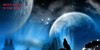 :iconwolf-pack-yeah: