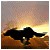:iconwolf-sea: