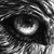 Wolf-Spirit89 :iconwolf-spirit89: