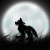:iconwolf-talas-photos: