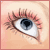 :iconwolf: