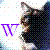 :iconwolf128: