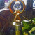 :iconwolf44a: