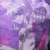 :iconwolf8989: