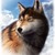 :iconwolf99808: