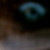 :iconwolfacino: