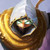 :iconwolfadius: