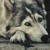 :iconwolfangel360: