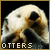 :iconwolfbabe357: