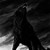 :iconwolfbanetheking: