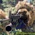 :iconwolfblood014: