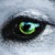 :iconwolfblood1212:
