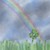 :iconwolfcamp53: