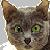 :iconwolfcat50: