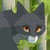 :iconwolfcat600: