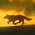 :iconwolfconnection: