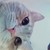 :iconwolfcrafter: