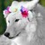 :iconwolfcranium: