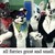 :iconwolfdemon321: