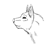 :iconwolfdragonspirit: