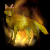 :iconwolfengirl: