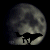 :iconwolfensrain: