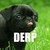:iconwolfesaysmeow: