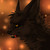 :iconwolfffaywolfwaffles: