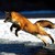 :iconwolffiegirl54: