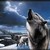 :iconwolffire246790: