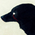 :iconwolfgaze001: