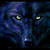 :iconwolfgirl-1999: