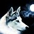 :iconwolfgirl123345:
