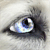 :iconwolfgirl76112: