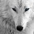:iconwolfgirl959: